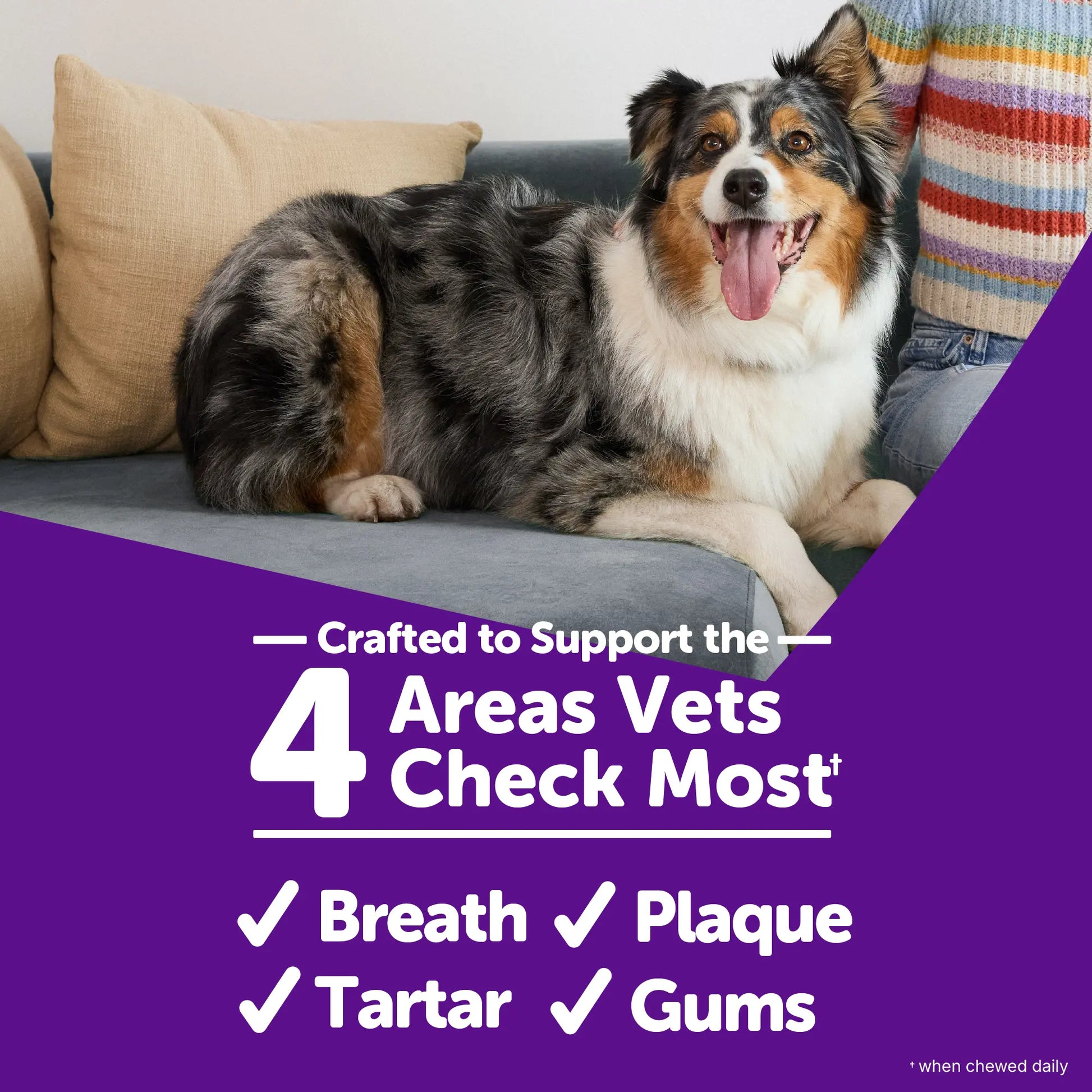 Large Dog Dental Chews - Brushzees (6 Count)