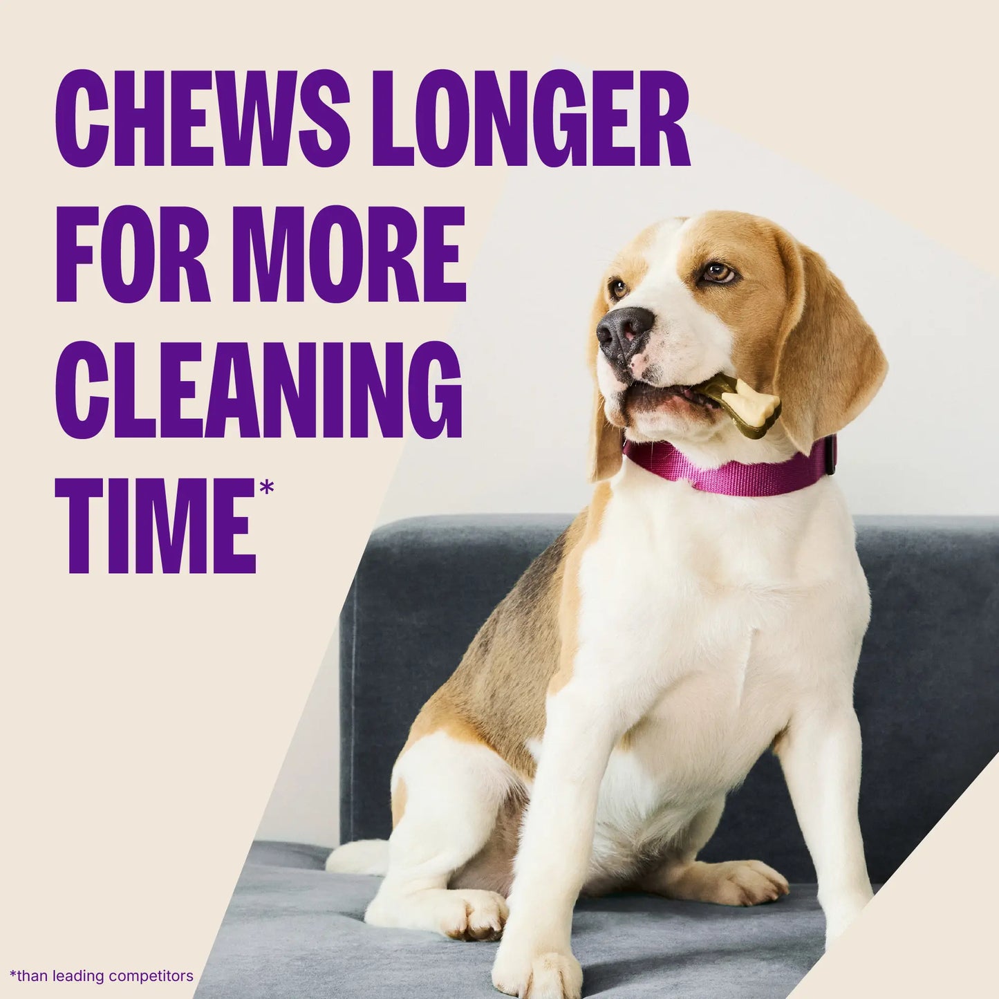 Large Dog Dental Chews - Brushzees (6 Count)