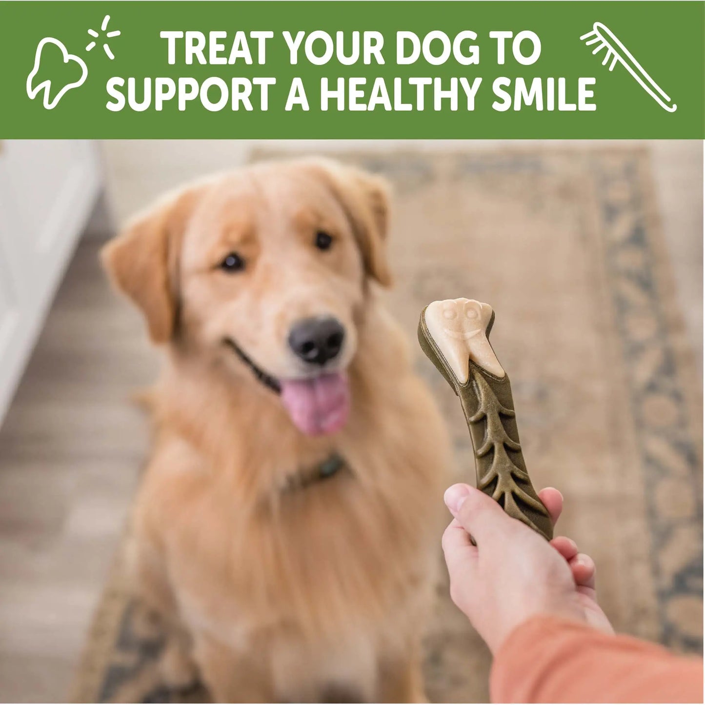 Large Dog Dental Chews - Brushzees (6 Count)