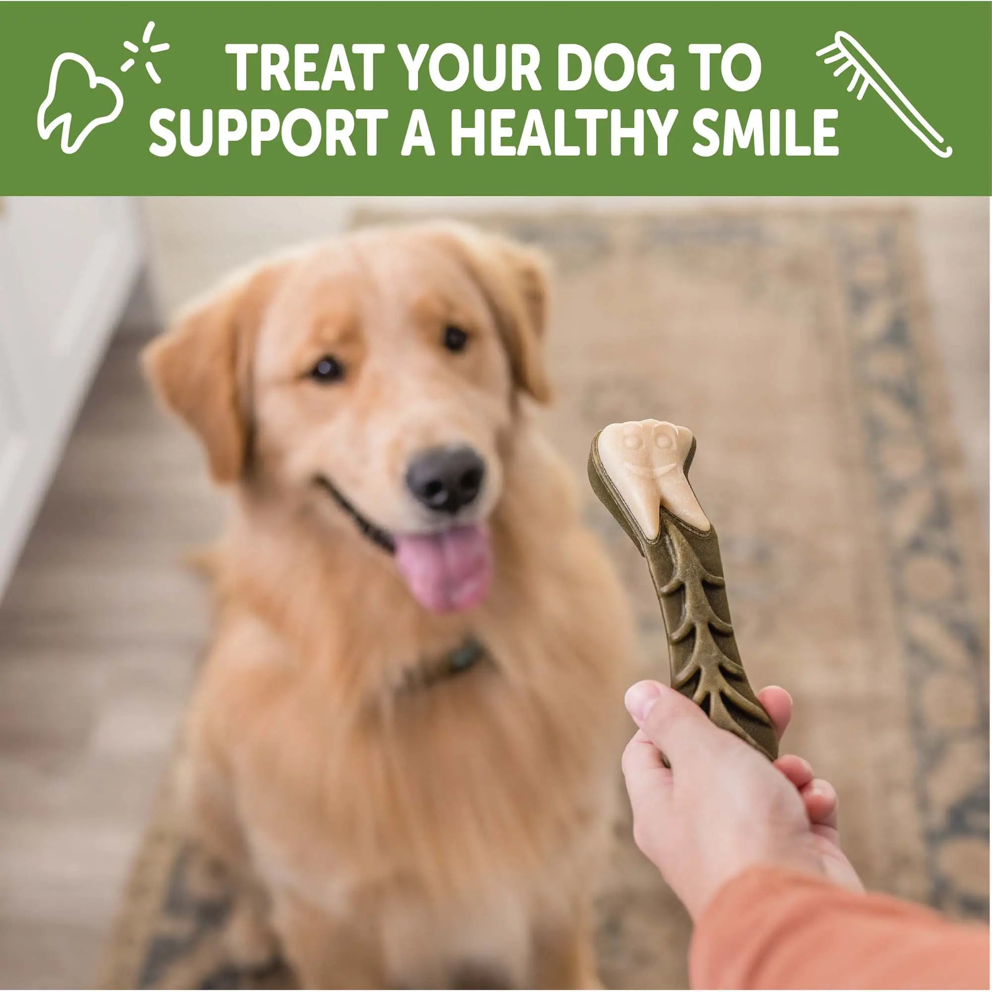 Large Dog Dental Chews - Brushzees (6 Count)